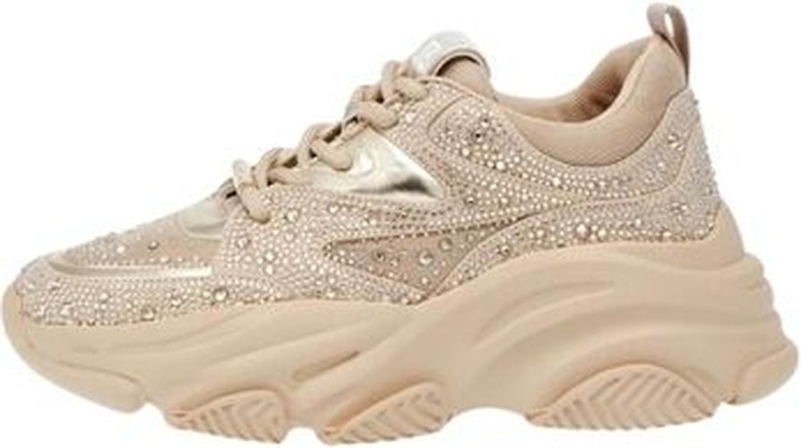 Baskets basses Baskets Privy Ref 62384 Rose Rose - Steve madden - Modalova