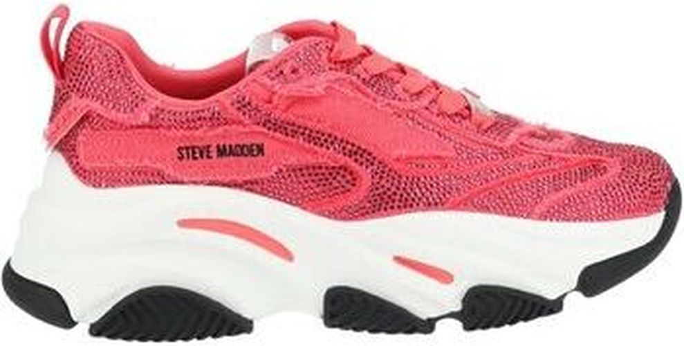 Baskets basses Sneaker Rose - Steve madden - Modalova