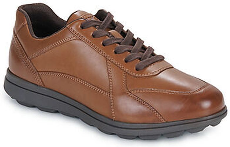 Baskets basses U SPHERICA EC12 Marron - Geox - Modalova