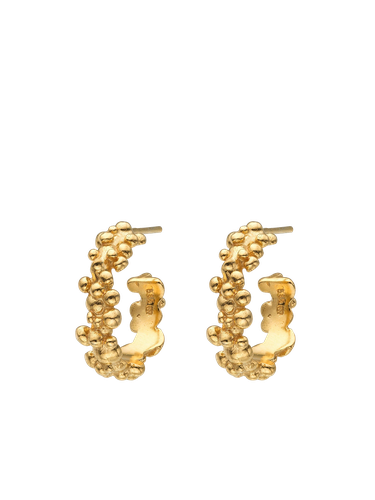 Céleste Deux Small Hoop Earrings - Earrings - Eva Remenyi - Modalova