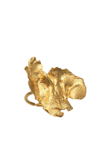 Artemis Ring | Women's Rings - Eva Remenyi - Modalova