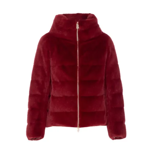 Jackets > Down Jackets - - Herno - Modalova