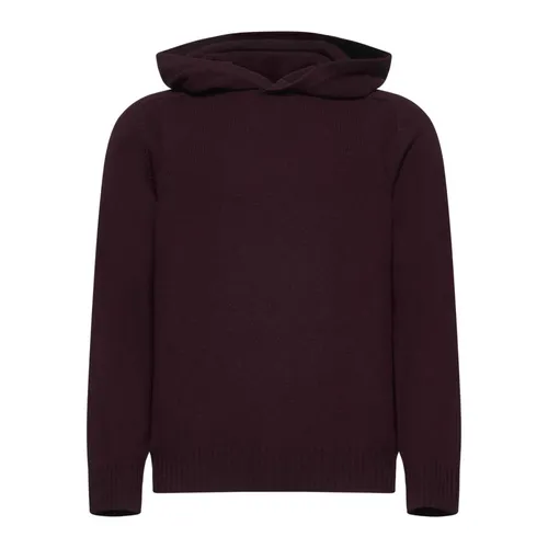 Sweatshirts & Hoodies > Hoodies - - D4.0 - Modalova