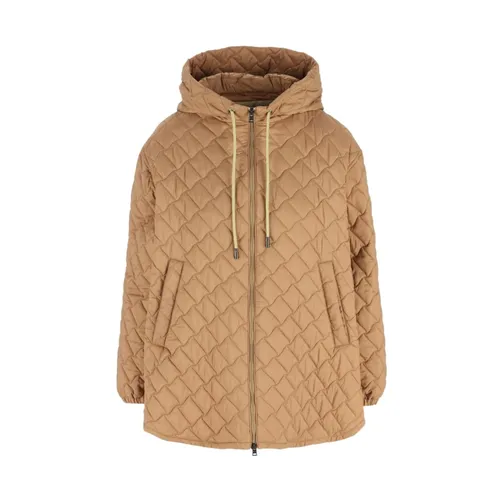 Jackets > Winter Jackets - - Herno - Modalova