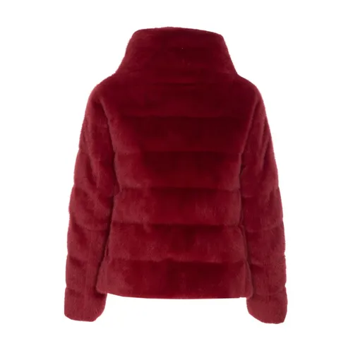 Jackets > Down Jackets - - Herno - Modalova