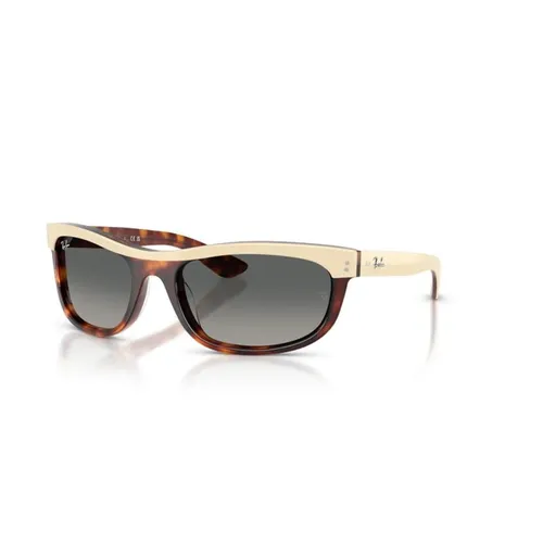 Accessories > Sunglasses - - Ray-Ban - Modalova