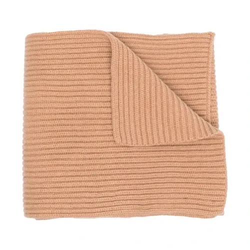 Accessories > Scarves > Winter Scarves - - A.p.c. - Modalova