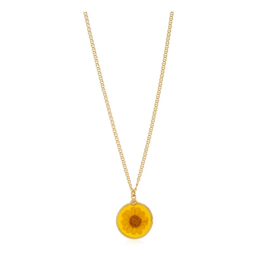 Accessories > Jewellery > Necklaces - - A.p.c. - Modalova
