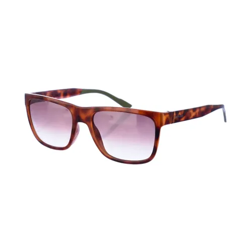 Accessories > Sunglasses - - Calvin Klein - Modalova
