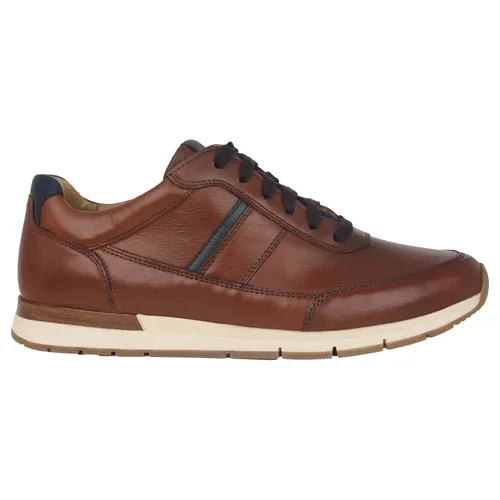 Gabor - Shoes > Sneakers - Brown - Gabor - Modalova