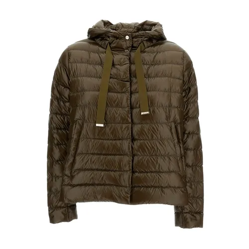 Jackets > Winter Jackets - - Herno - Modalova