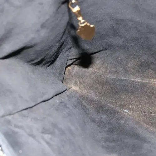 Pre-owned > Pre-owned Bags > Pre-owned Tote Bags - - Gucci Vintage - Modalova