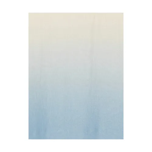 Accessories > Scarves - - D'aniello - Modalova