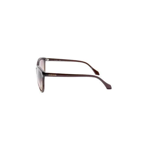 Accessories > Sunglasses - - Calvin Klein - Modalova