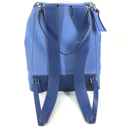 Pre-owned > Pre-owned Bags > Pre-owned Backpacks - - Loewe Pre-owned - Modalova