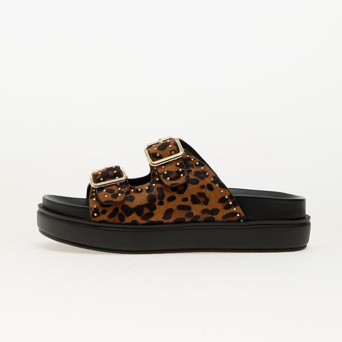 Baskets Freelance-L EUR 37 - Steve Madden - Modalova