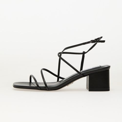 Baskets Remmi EUR 41 - Steve Madden - Modalova