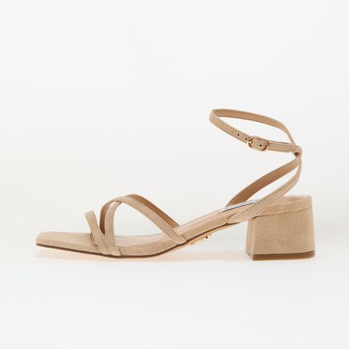 Baskets Gleams EUR 37 - Steve Madden - Modalova