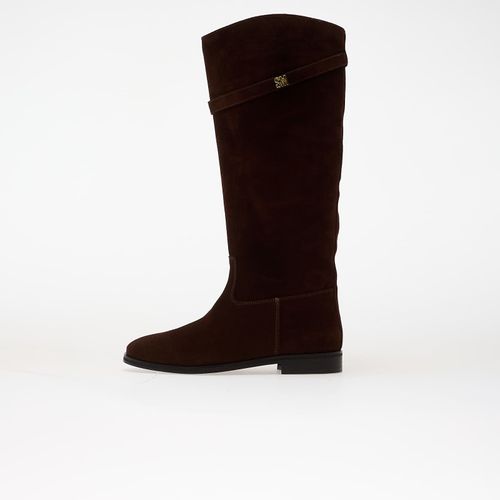 Baskets Novi EUR 40 - Steve Madden - Modalova