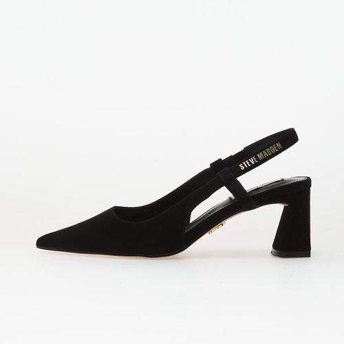 Baskets Evanston EUR 38 - Steve Madden - Modalova