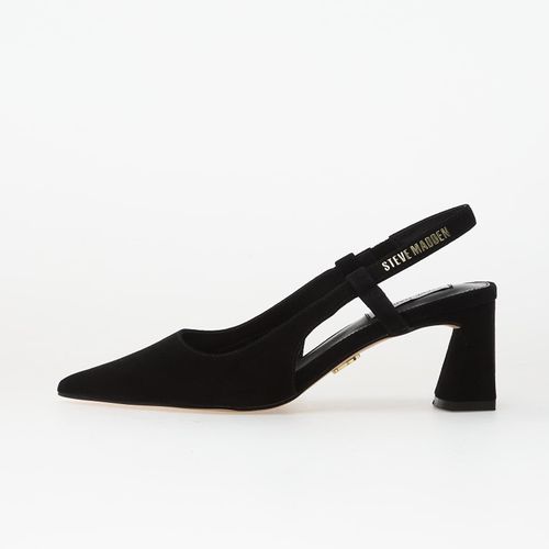 Baskets Evanston EUR 40 - Steve Madden - Modalova