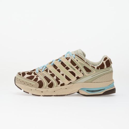 Baskets adidas Adistar Control 5 W / / EUR 40 - adidas Originals - Modalova